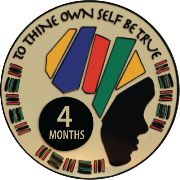 African Queen AA Coin 24hrs-11 months Sobriety Chip