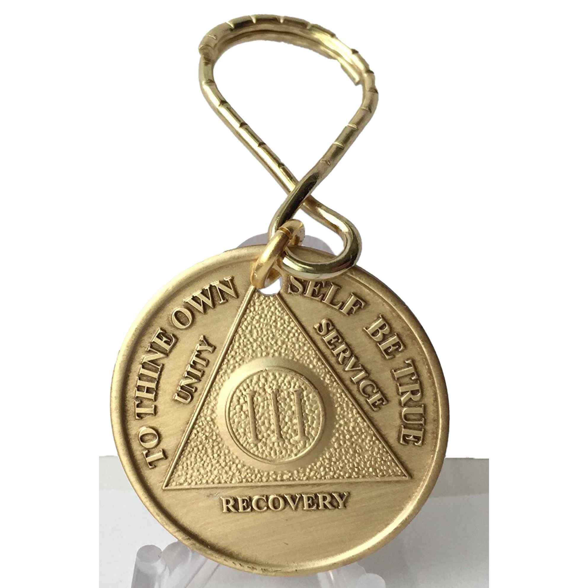 Set of Bronze AA Coins and Keychain Holder | Sobriety Chips for Month 1-11,  1 Year, 24-Hour | Sober Recovery Gift of AA Medallions with Serenity
